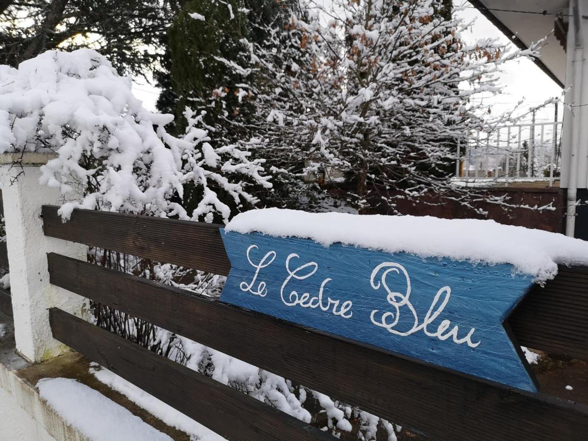 Le Cedre Bleu Otel Saint-Michel-sur-Meurthe Dış mekan fotoğraf